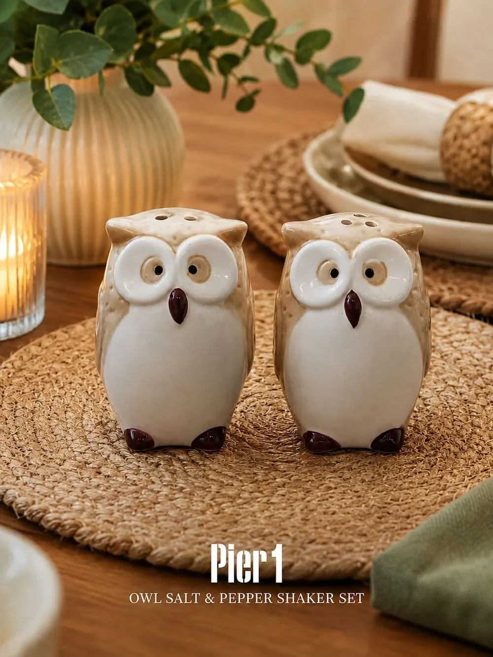 Pier 1 Owl Salt & Pepper Shaker Set Ceramic Beige Brown White Kitchen Decor